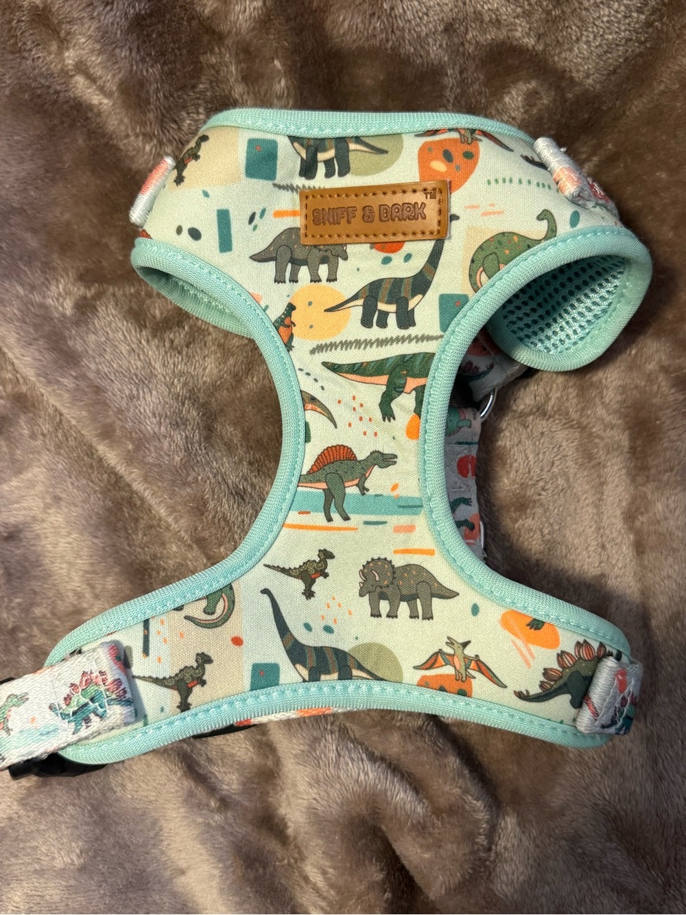Mint Dinosaur Dog Harness - Cute Printed Pet Harness